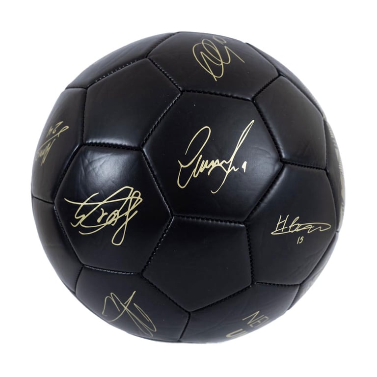 Newcastle United FC Sig Gold Phantom Skill Ball - Official PVC Football with Club Crest and Player Signatures