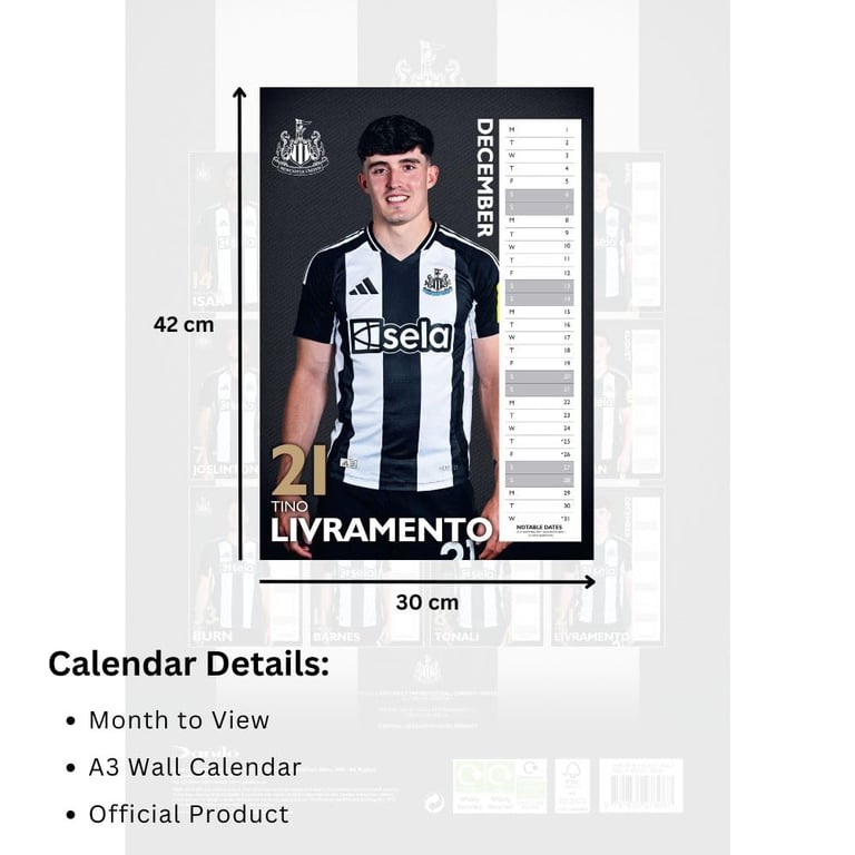 Newcastle United FC A3 2025 Wall Calendar Featuring Your Favourite Players