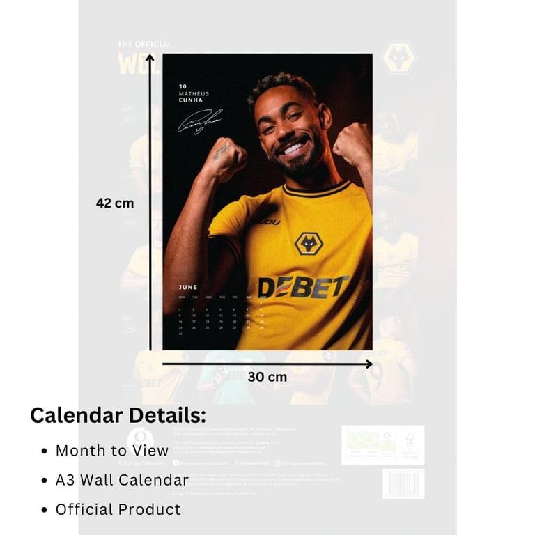 Wolverhampton Wanderers FC A3 2025 Wall Calendar - Featuring Wolves Players and Events