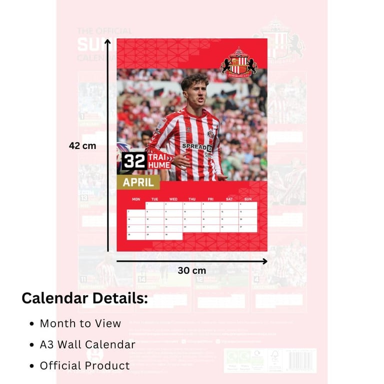 Sunderland AFC A3 Calendar 2025 - Official Football Club Wall Calendar Featuring Top Players