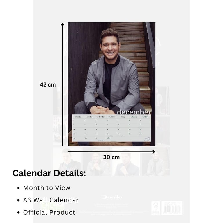 Michael Buble 2025 A3 Wall Calendar - Iconic Singer s Yearly Planner