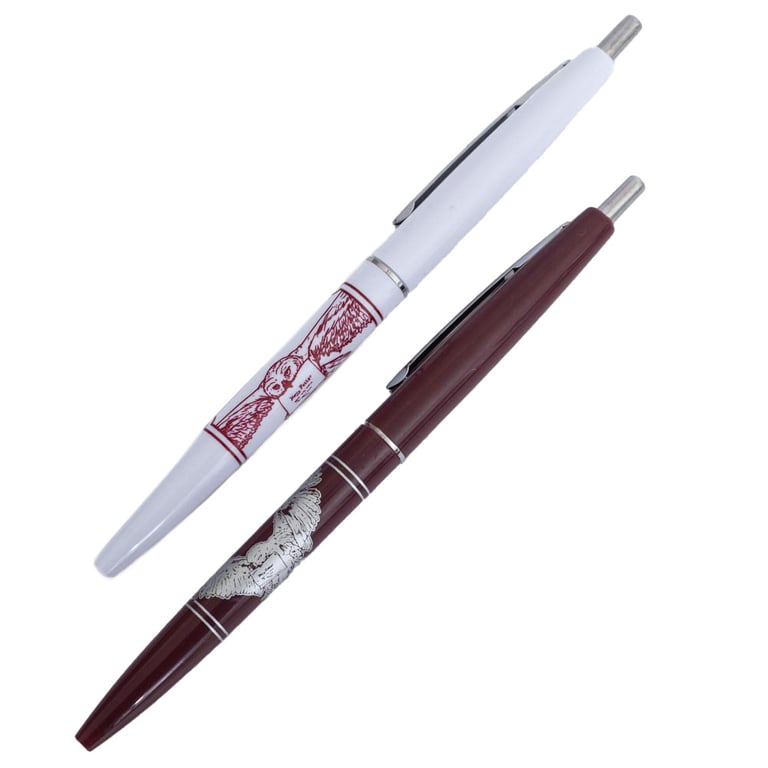Harry Potter 2pk Coloured Ballpoint Pen Set - Hedwig Owl Design, Black Ink Writing Tools
