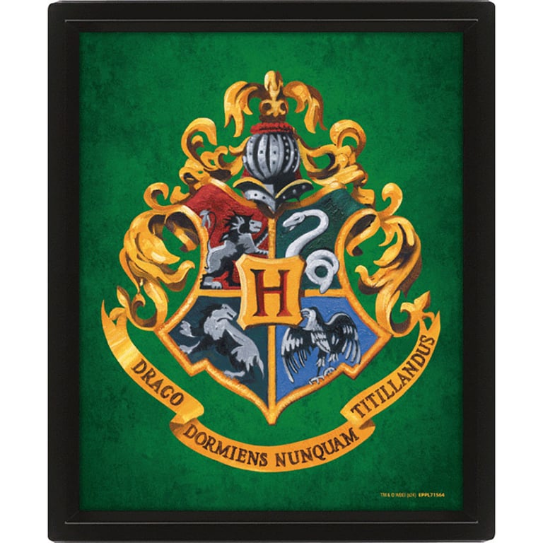 Harry Potter Slytherin Framed 3D Picture - Moving House Crests in a Stylish Black Frame