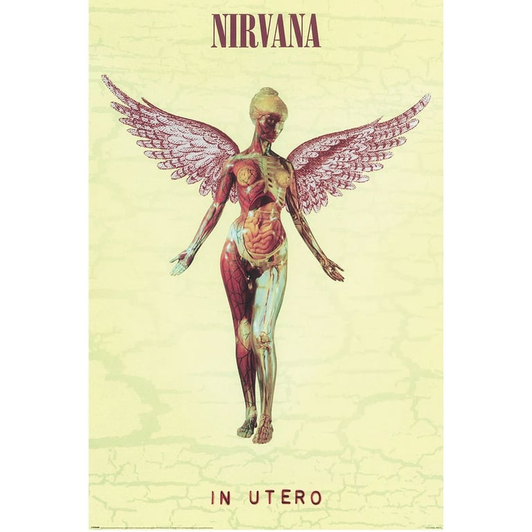 Nirvana In Utero High Resolution Maxi Poster