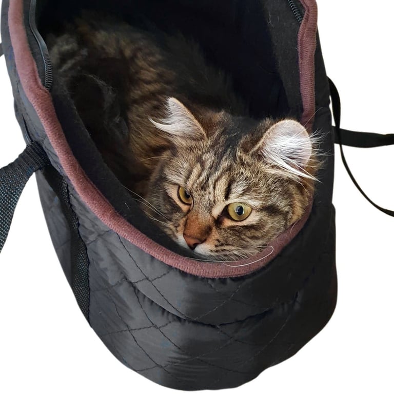 Black Quilted Pet Carrier - Padded Small Dog and Cat Travel Bag with Machine Washable Design