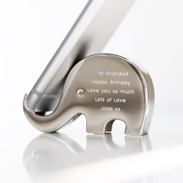 Stampy The Elephant Personalised Stainless Steel Phone Holder