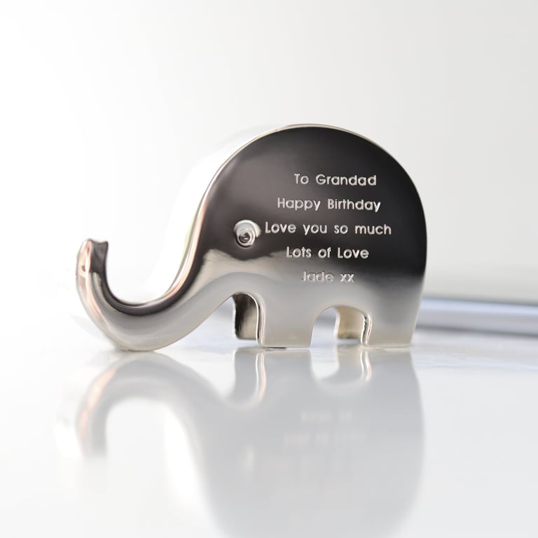 Stampy The Elephant Personalised Stainless Steel Phone Holder
