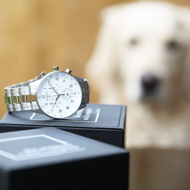 Swiss Made Architect Endeavour Engraved Chronograph Watch