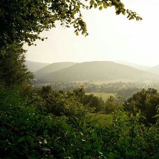 Landscapes - TgScanner