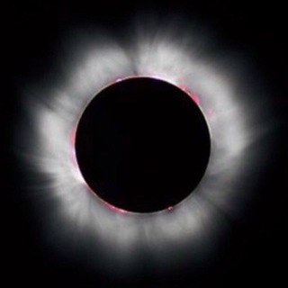 Аватар Телеграм канала "Mr Pool" @mr_pool_7221