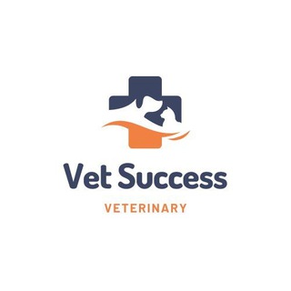 Vet success(DVM/Veterinary) - TgScanner