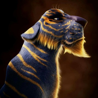 3D Animation - TgScanner