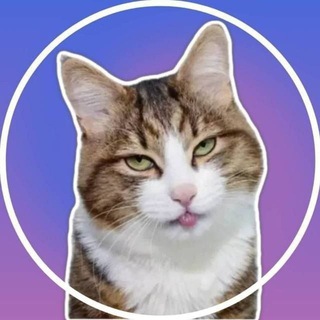 Аватар Телеграм канала "Video Stickers - Видео Стикеры - Гиф Стики" @gifstiki