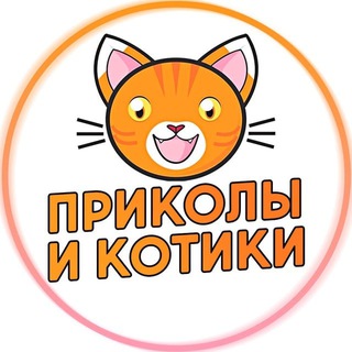 Аватар Телеграм канала "Приколы и Котики" @prikotik