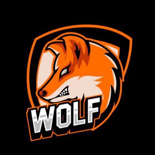 The CryptoWolf ™ - TgScanner