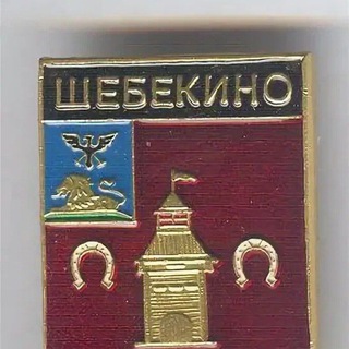 Аватар Телеграм канала "Жесть Шебекино" @zhest_shebekino_channel