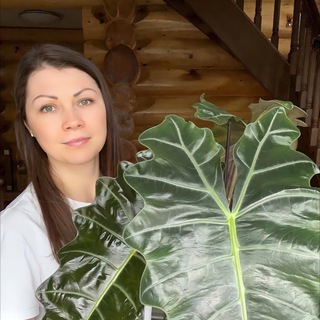 Аватар Телеграм канала "Маша дома" @Masha_Domaa