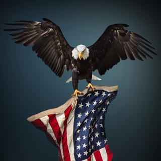 Fearless Report - TgScanner