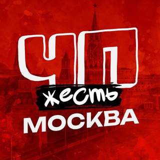 Аватар Телеграм канала "zhest_dtp99" @zhest_dtp99