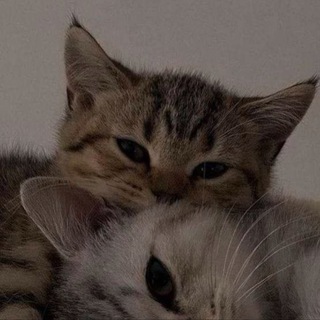 Аватар Телеграм канала "Я хочу" @YAAhoCHuuha