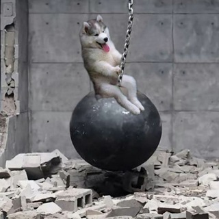 Funny videos & pictures - TgScanner