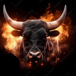 Trading Best Master - TgScanner