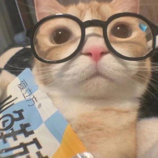 sQg.memes - TgScanner