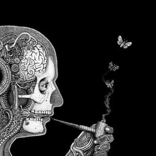 Аватар Телеграм канала "Biology Channel" @animal_zone