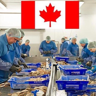 Jobs In Canada 🇨🇦 - TgScanner