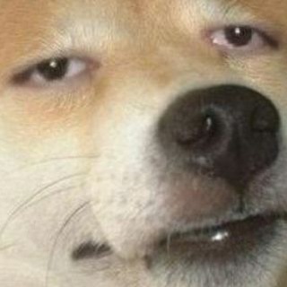 i don't know how to be funny anymore - TgScanner