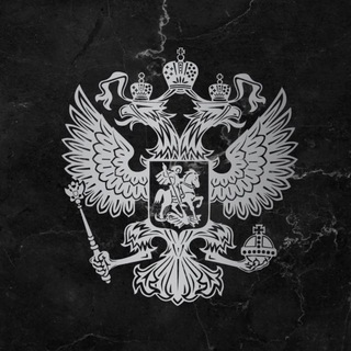 Аватар Телеграм канала "СОКОЛ 2.0" @+Acxbl5oReKZkNzI6