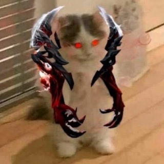 Аватар Телеграм канала "dota 2 в схемах и мемах" @kotekidota2