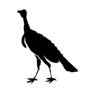 The American Spectator - TgScanner