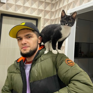 Аватар Телеграм канала "mma_bs (Петр Олегович)" @goodMMA