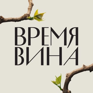 Аватар Телеграм канала "РБК Вино" @rbc_wine