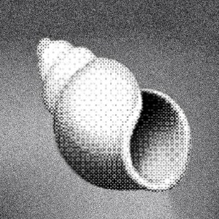 Shoal Research Hub - TgScanner