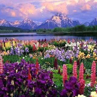 Аватар Телеграм канала "God's Creation 🌍🌳🐿️" @gods_nature