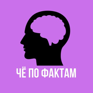 ЧЁ по ФАКТАМ - TgScanner