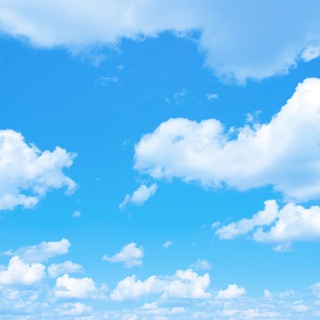 Аватар Телеграм канала "The Tin Foil Is REAL" @toomuchfoil