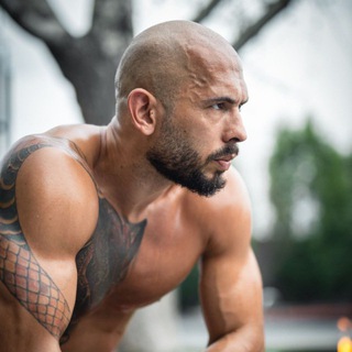 Andrew Tate - TgScanner