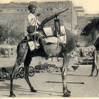 Jaitrasimha - TgScanner