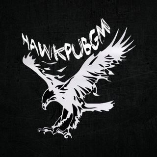 Аватар Телеграм канала "." @hawkpubg