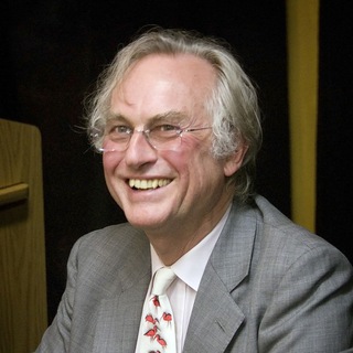 Improve your memglish - TgScanner