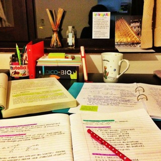 Аватар Телеграм канала "Study Everything" @Study