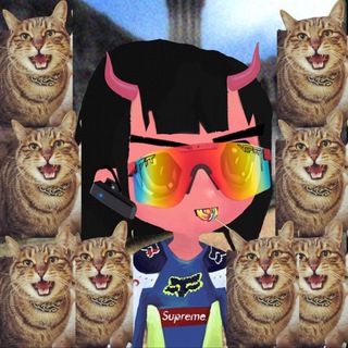 BK Community - TgScanner