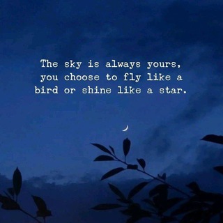 Quotes ― Thoughts - TgScanner