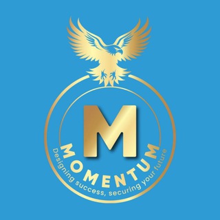 Momentum WLS - TgScanner