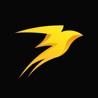 Storm Trade | News ⚡️ - TgScanner