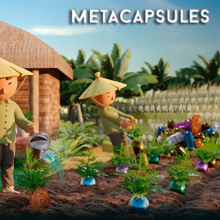 Аватар Телеграм канала "MetaCapsules" @MetaCapsules