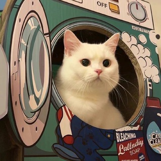 Темы и языки | Обои для тг - TgScanner